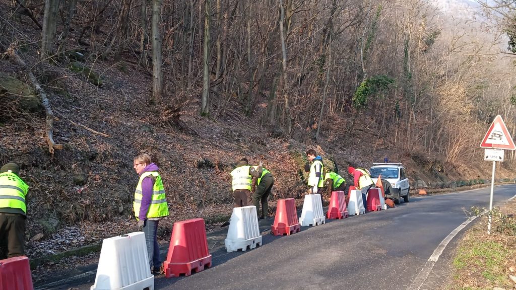 Ad Avigliana La Campagna Sos Anfibi Per La Tutela Di Rospi Rane