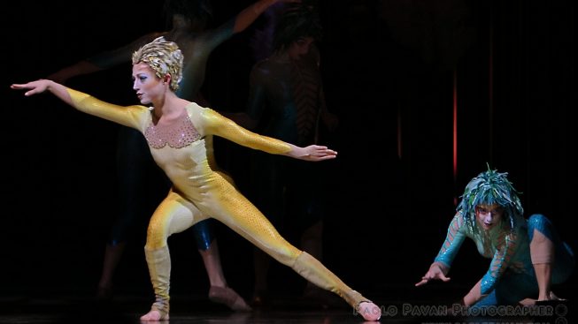 varekai89.jpg