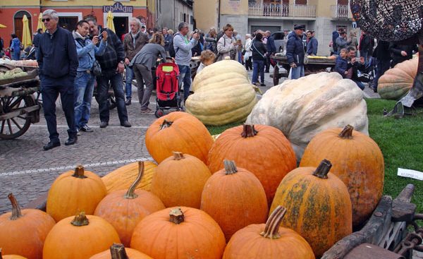 fiera-zucca-piozzo-7-qp.jpg