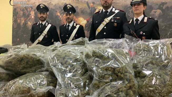 Alessandria – Marijuana (1)