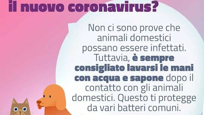 animali coronavirus