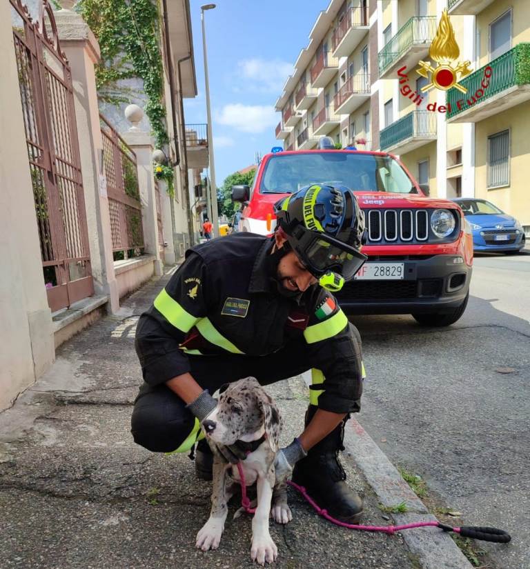 Vigili del fuoco Verceli