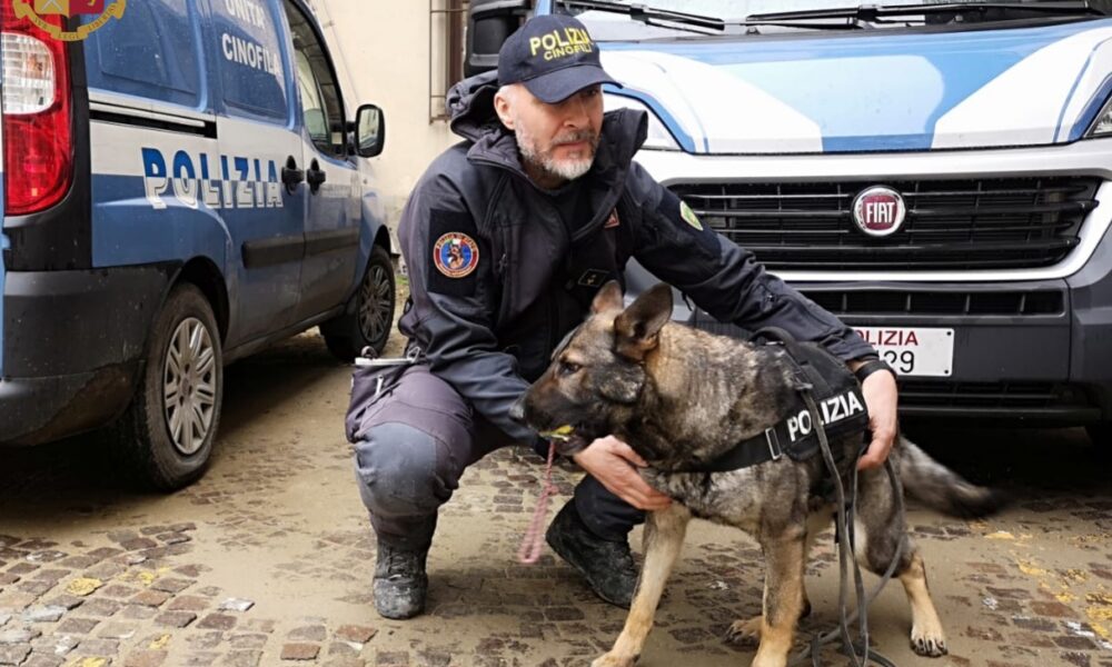 polizia-unità cinofile