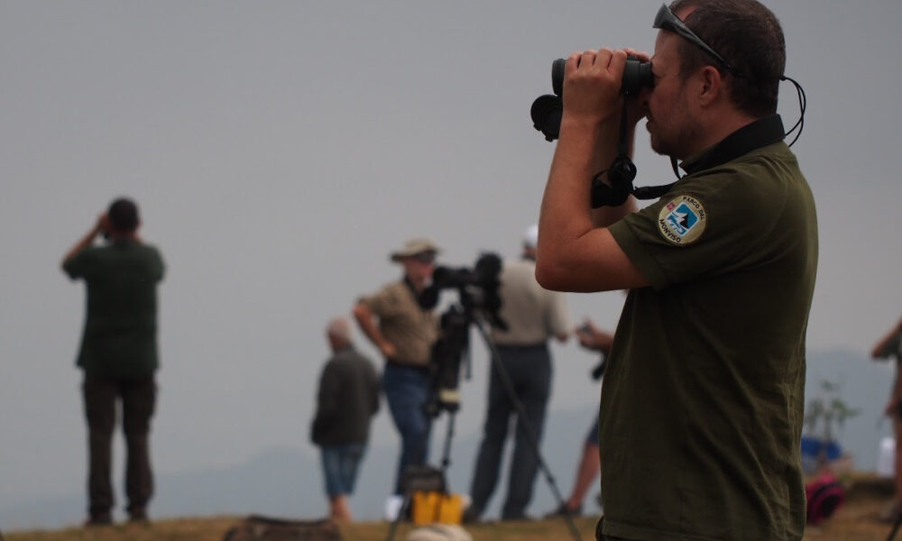 birdwatching parco del monviso