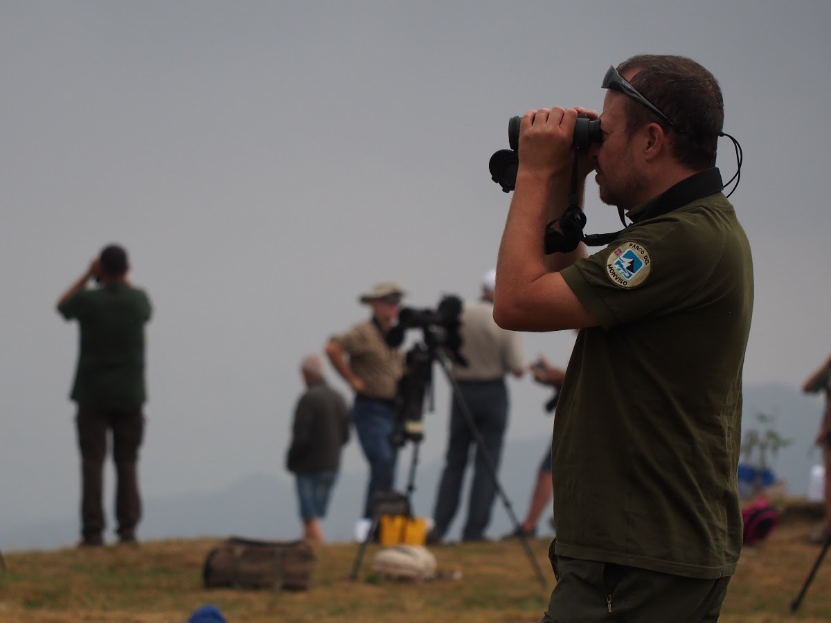 birdwatching parco del monviso