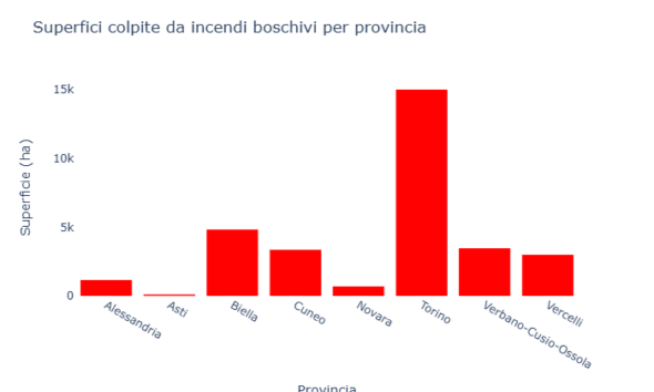 https://www.quotidianopiemontese.it/wp-content/uploads/2024/11/incendi-boschivi-590x354.png